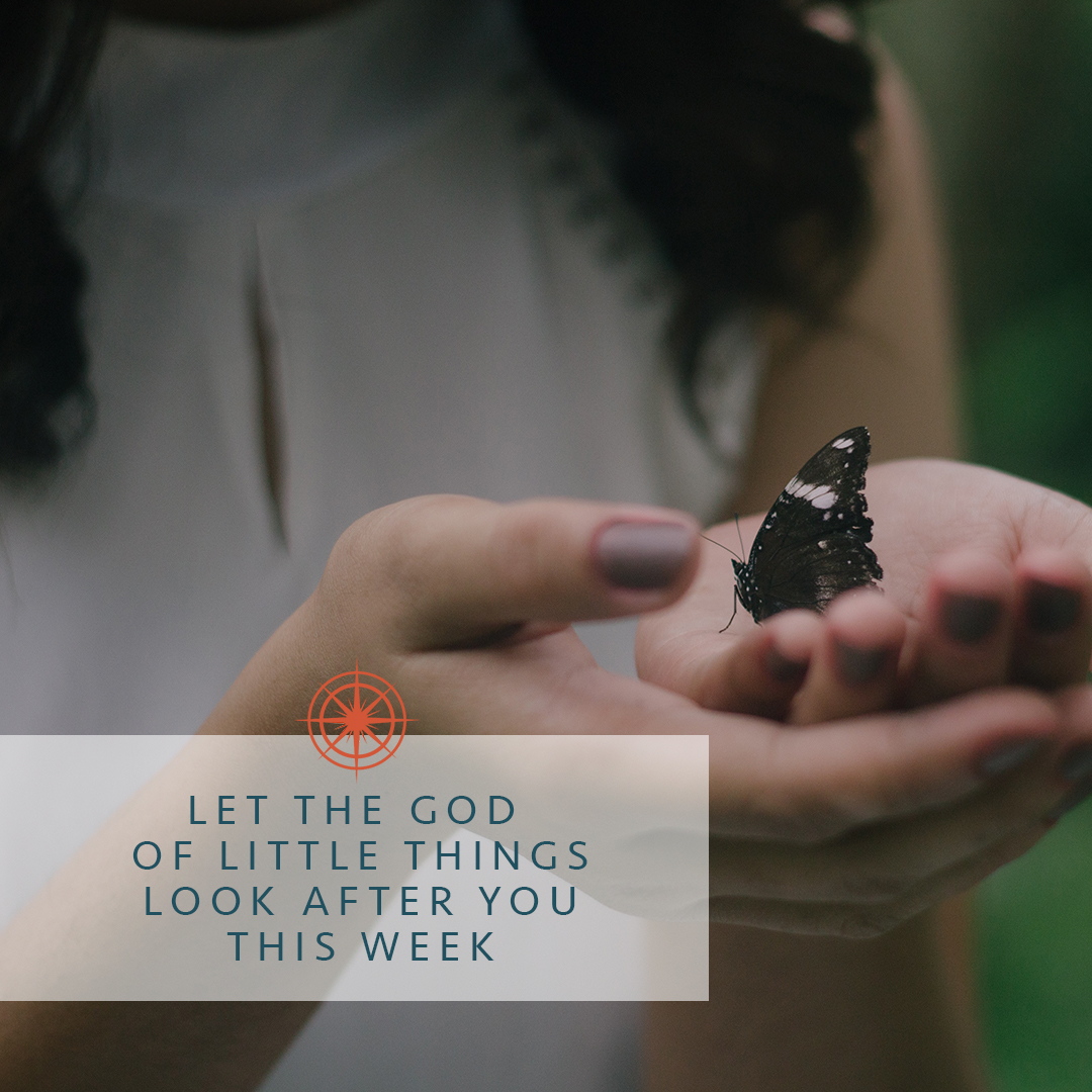 The god of little things