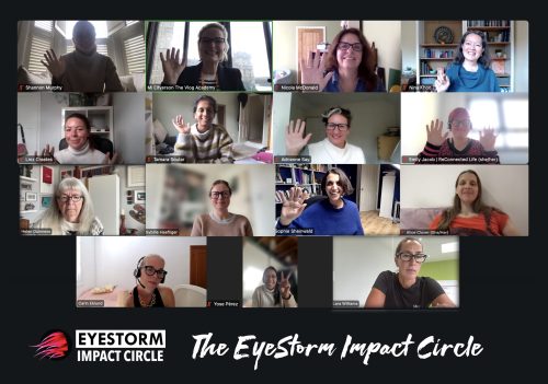 Women for gender equality, image of Zoom call