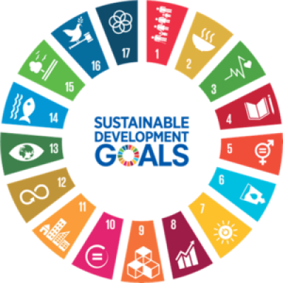 csm_UN-sdg-wheel_8d6ed8c49a